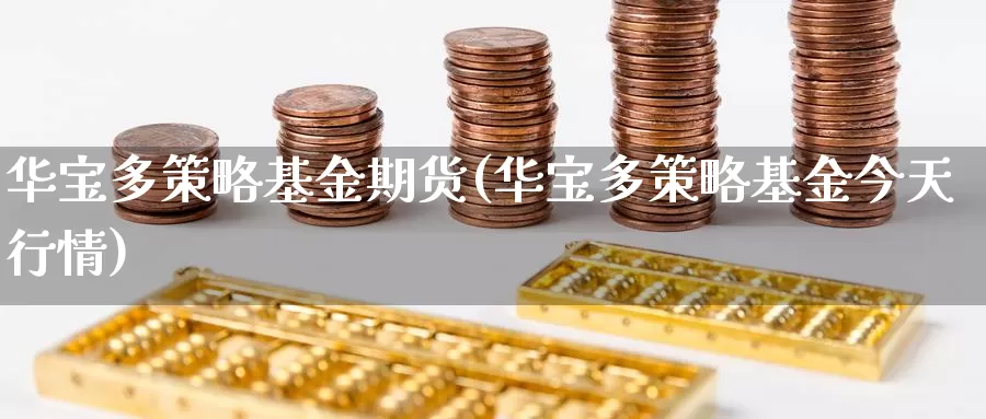 华宝多策略基金期货(华宝多策略基金今天行情)_https://www.nbrykh.com_期货行情_第1张